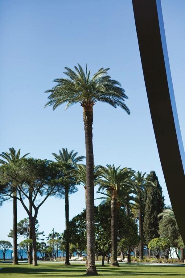 Appartement LE PREFECTURE - LUXUEUX F3 EN DUPLEX, ascenseur, coeur Vieux-Nice Extérieur photo